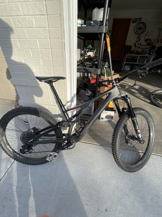 2019 stumpjumper carbon