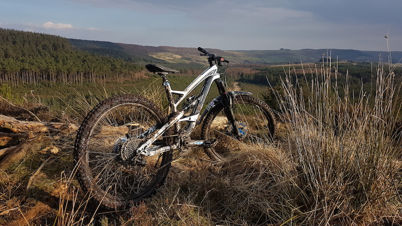 uber race matrix pads