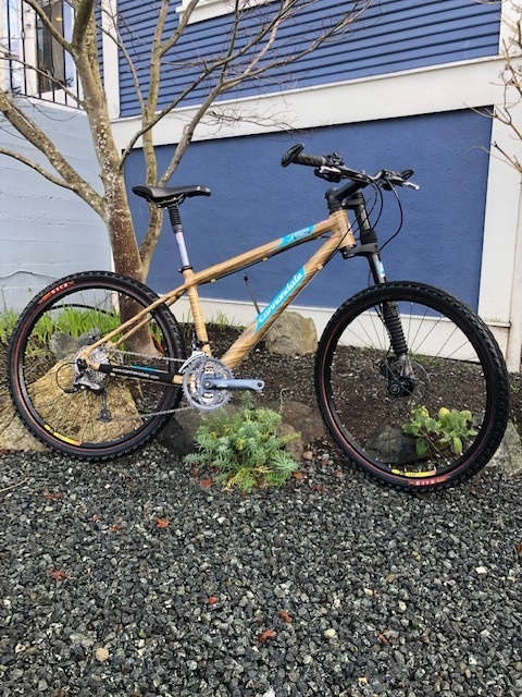 Cannondale 2025 f1000 lefty