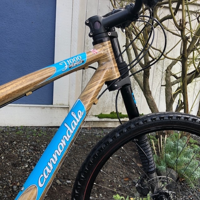 cannondale f1000 lefty