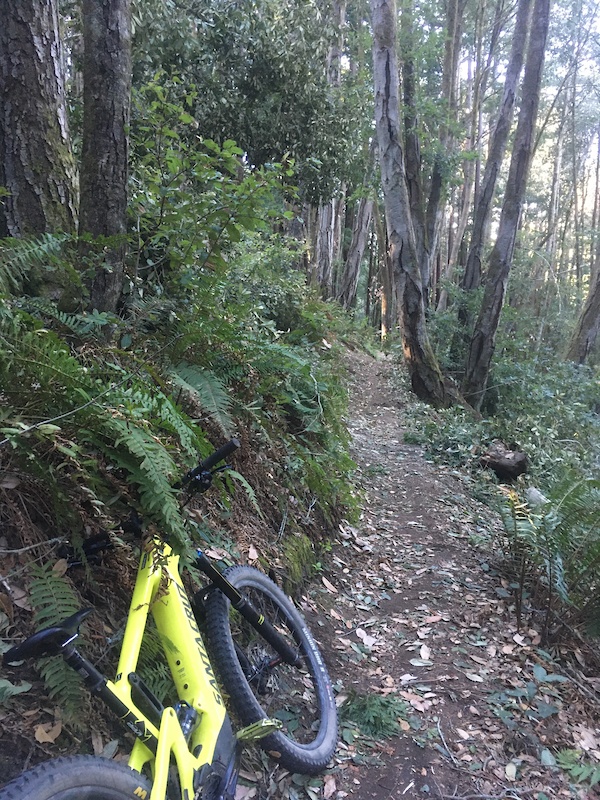 Enchanted Loop Multi Trail Santa Cruz California