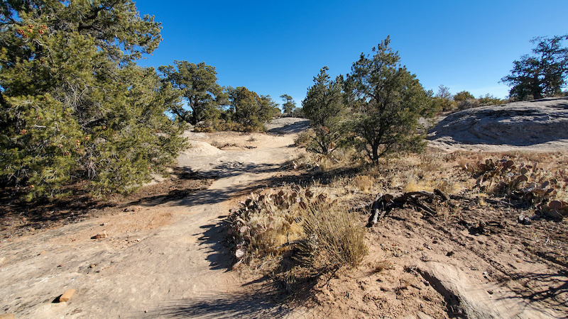 Featured image of post Recipe of Gooseberry Mesa Trailforks