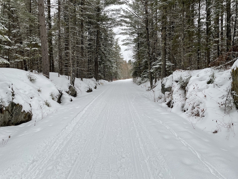 Carlton County, Minnesota Mountain Biking Trails Trailforks