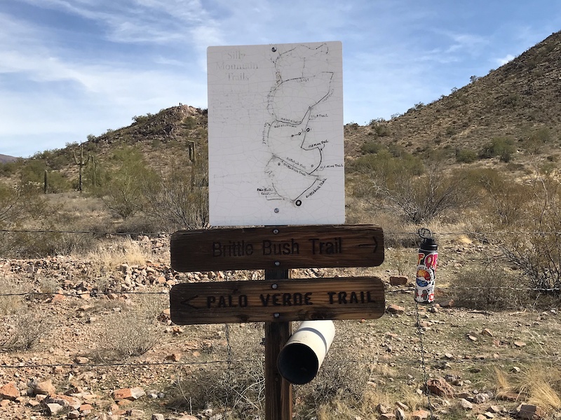 Brittlebush Trail Multi Trail Apache Junction, Arizona