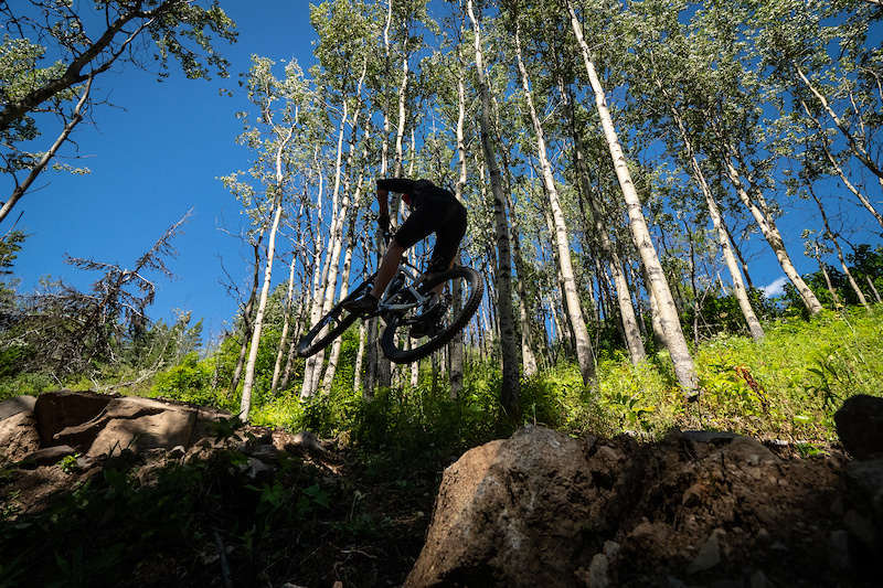 Hogzilla is the newest addition to Boer Mountain with 5km of A-Line style jumps drops and berms.
