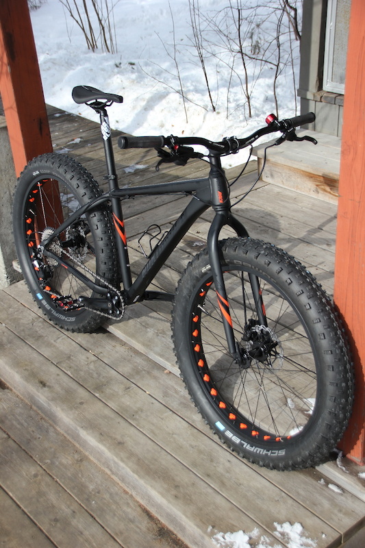 Costco fat bike online 2021