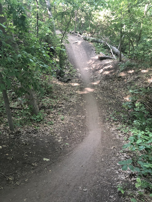 Erwin Park Mountain Biking Trails Trailforks