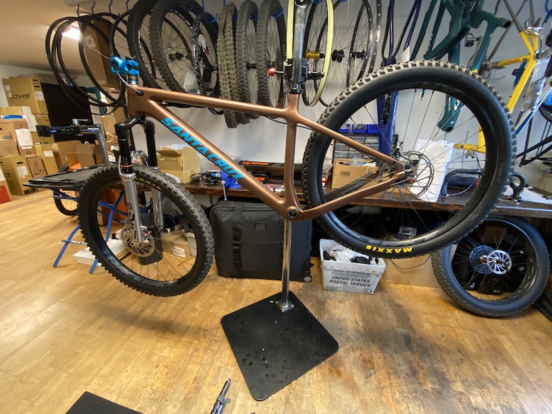 santa cruz chameleon c