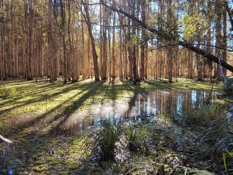 Ewen Maddock Dam .