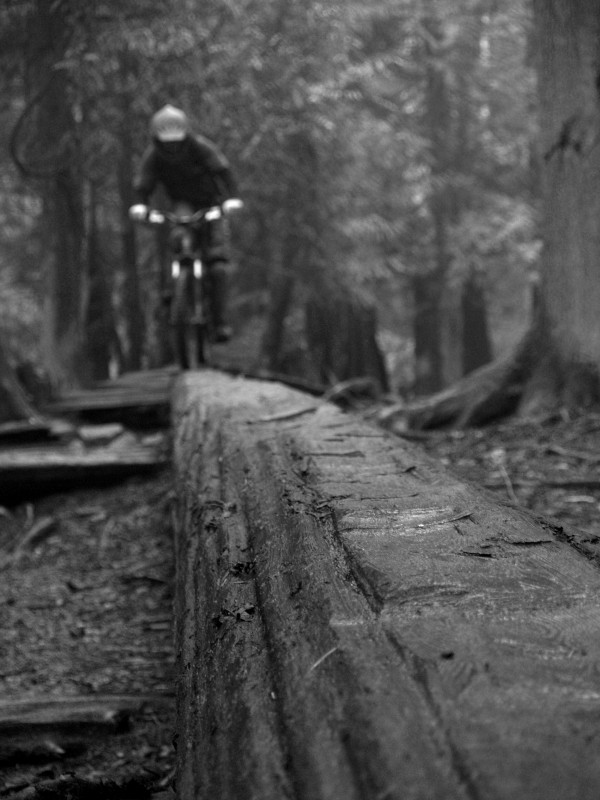 Riding a sketchy log in wet and snowy conditions makes for interesting riding.