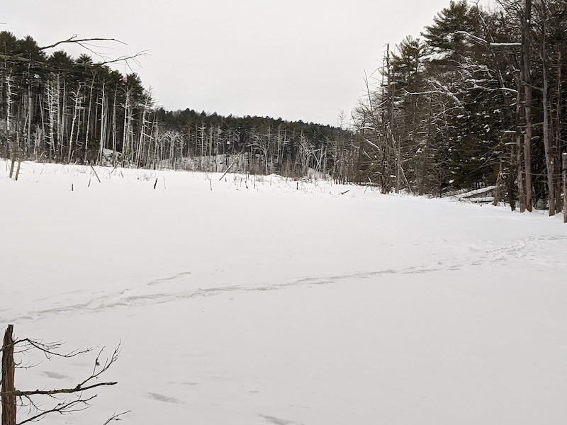 Bald Hill Rd Multi Trail Boxford, Massachusetts