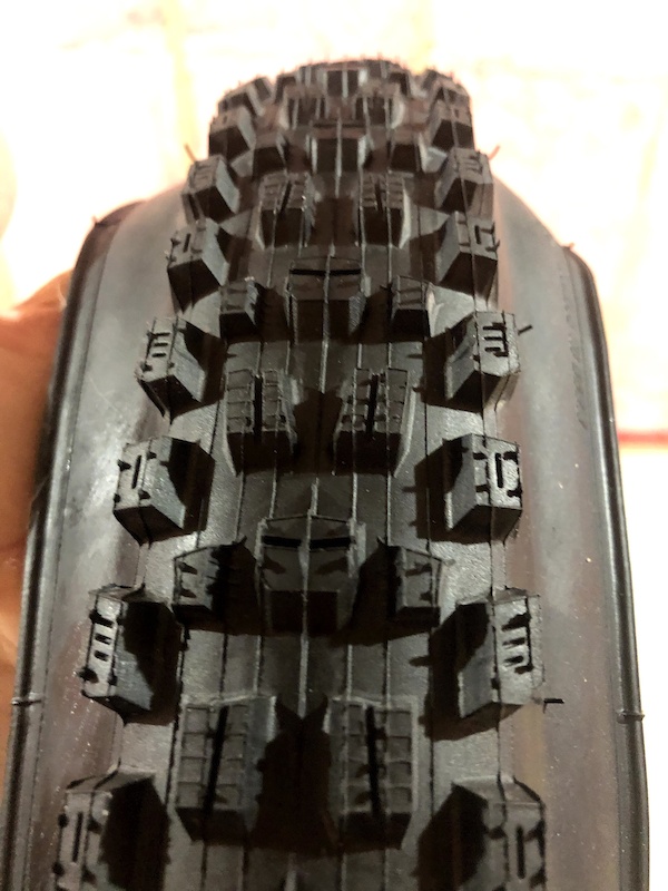 maxxis assegai 29x2 5 dd
