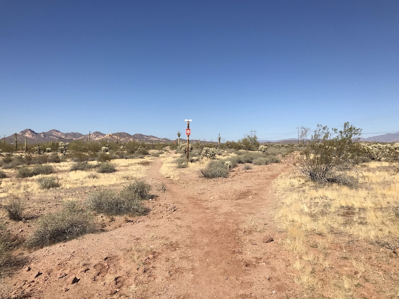 Brittle Bush Mountain Biking Trail Apache Junction, AZ