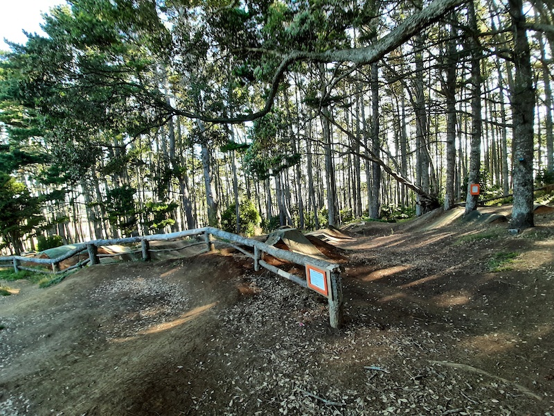 Puni mountain sale bike track