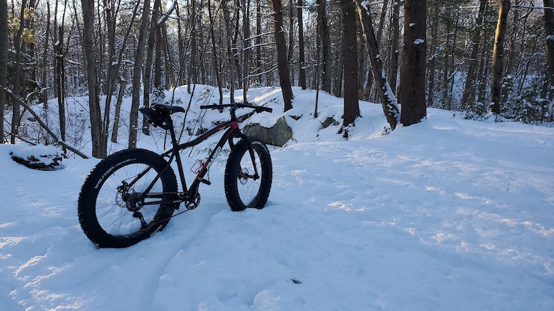 wolftrax alloy fat bike