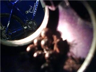 Roaches and bearings in the BB on a bike that came in today. Can you tell which is which?

*Hint* there are 2 roaches