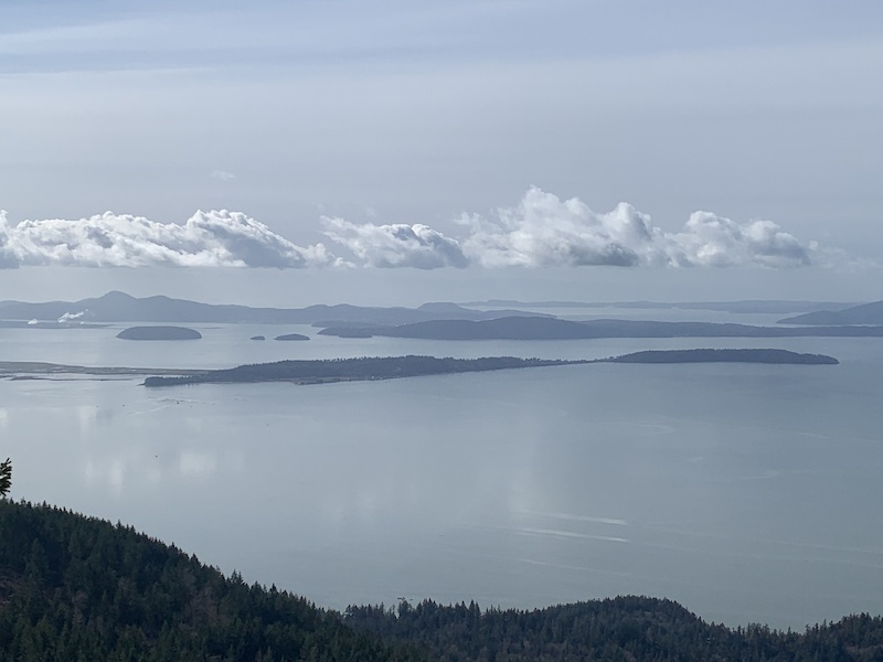 Oyster Dome Trail Hiking Trail Bellingham, Washington