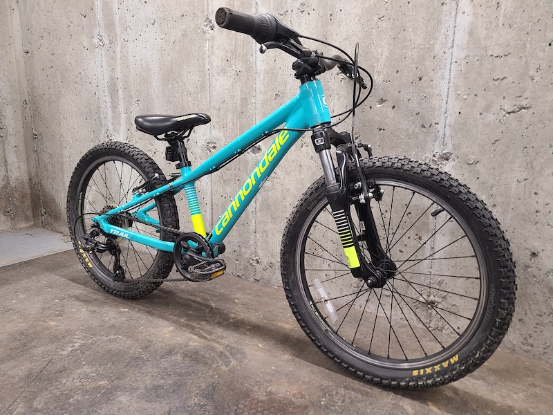 Cannondale trail hot sale 20 2019