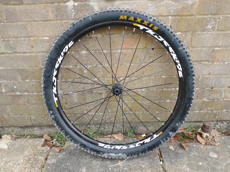 ladies thermal cycling tights