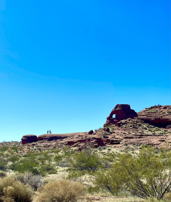 Paradise Canyon Trail Mountain Biking Route Trailforks