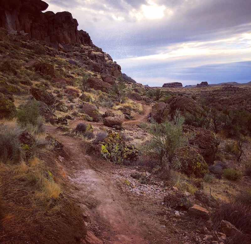 Lower Loop Multi Trail Kingman, Arizona Trailforks