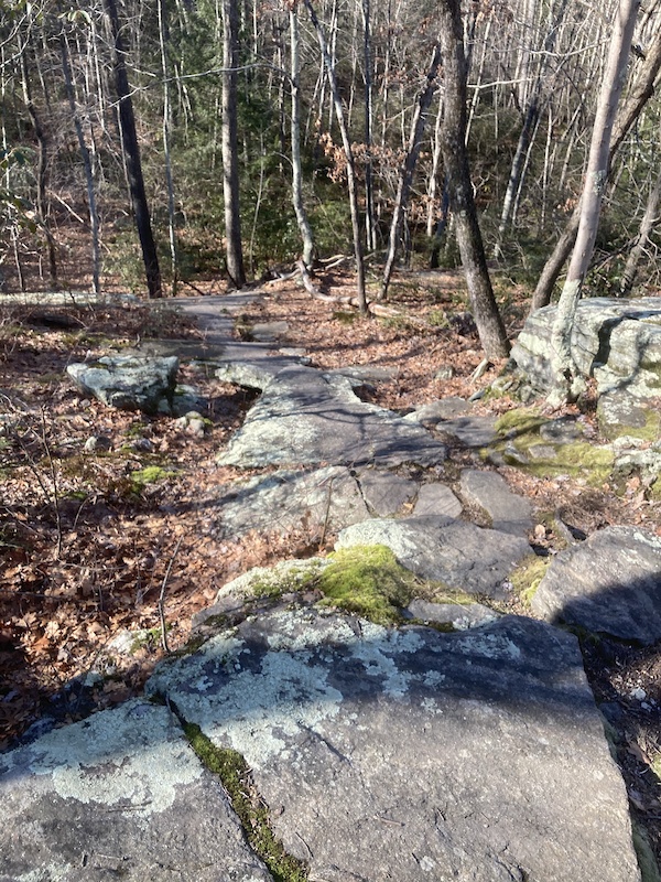 Pequonnock River Valley State Park Mountain Biking Trails Trailforks