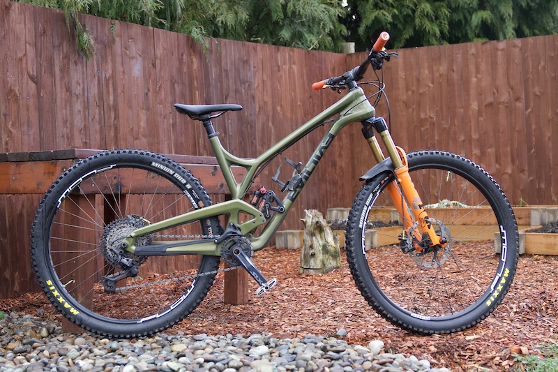 evil offering frank the tank