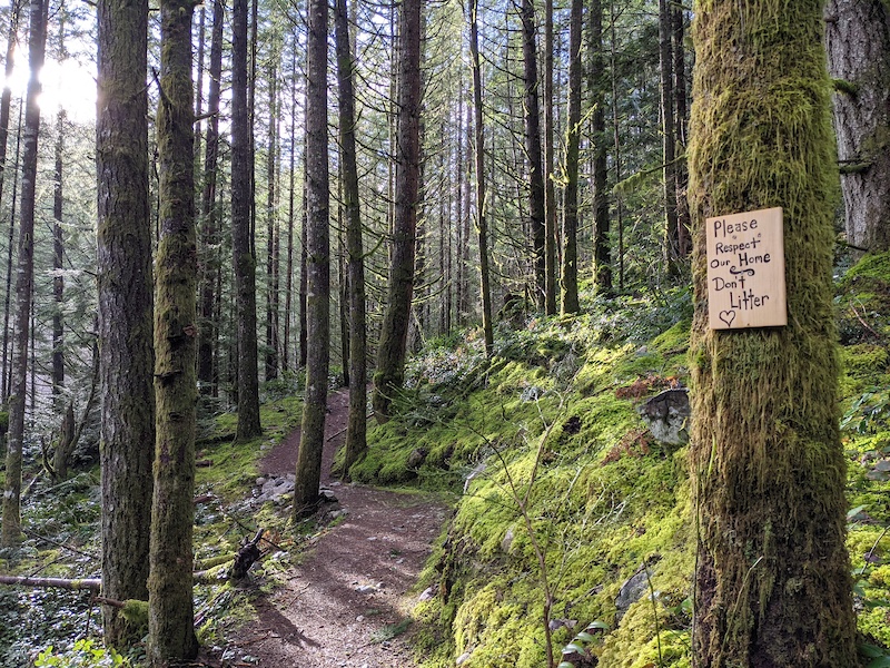 Alder Trail Hiking Trail Squamish, British Columbia