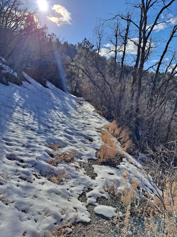 Mar 10, 2021 Kellner Canyon Trail Trail Report Trailforks