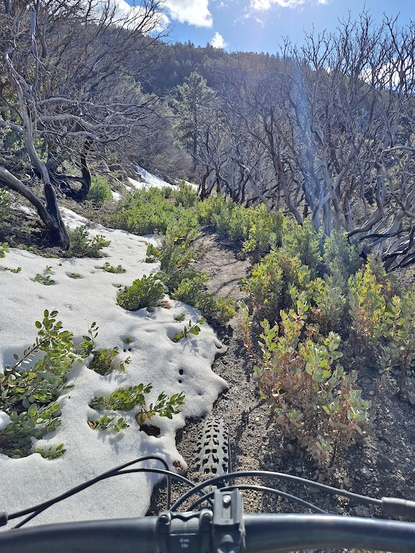 Mar 10, 2021 Kellner Canyon Trail Trail Report Trailforks