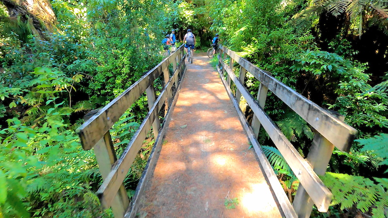 Mangapurua Track Bridge To Nowhere Walk Mountain Biking Trail