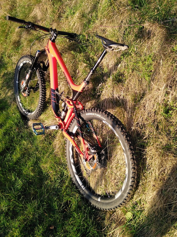 reign advanced 1 2017