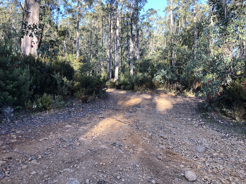 East West Trail Mountain Biking Trail Hobart