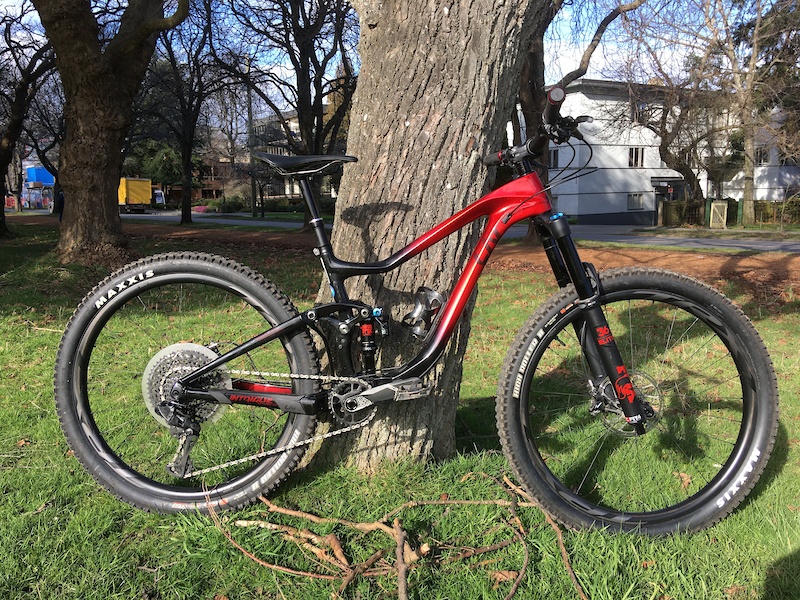 liv intrigue advanced 1