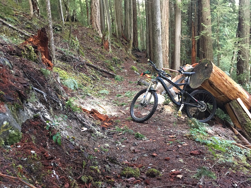 Skookum Flats Mountain Biking Trail Greenwater, WA
