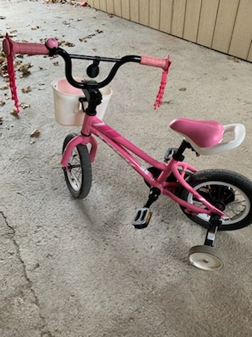 2019 Trek Precaliber 12 For Sale