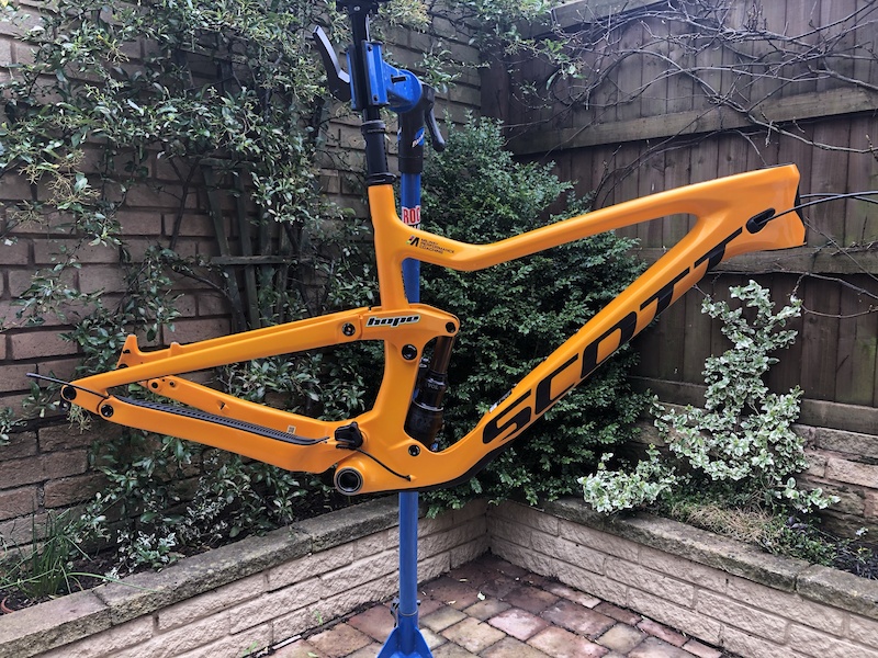 scott ransom frame only