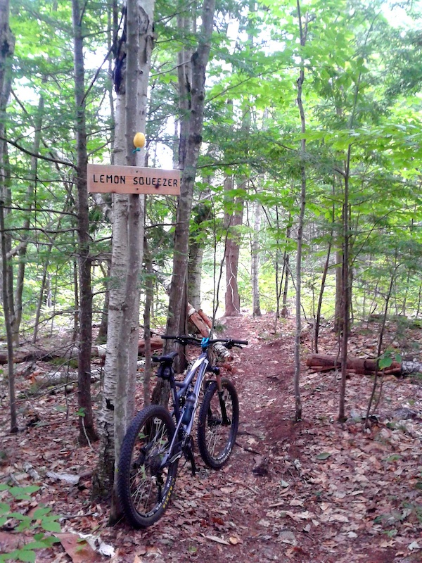 Lemon Squeezer Multi Trail Conway, New Hampshire