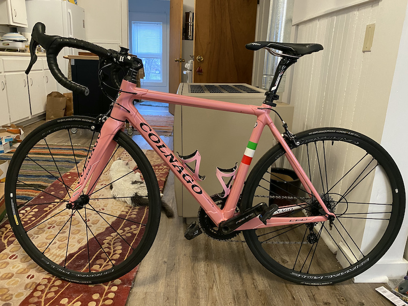 Colnago pink deals