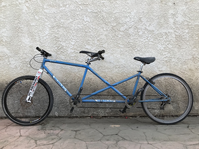 Burley tandem discount