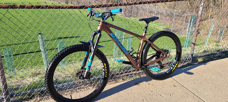 santa cruz chameleon large for sale