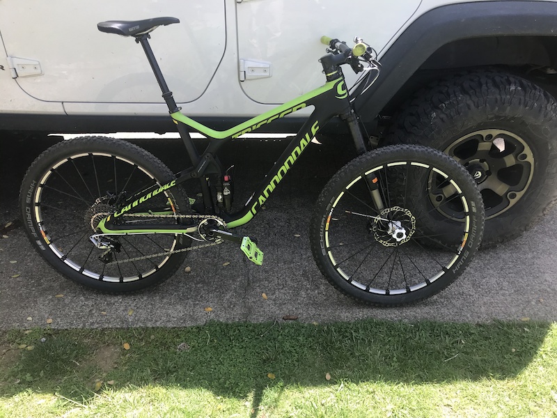 cannondale trigger carbon team