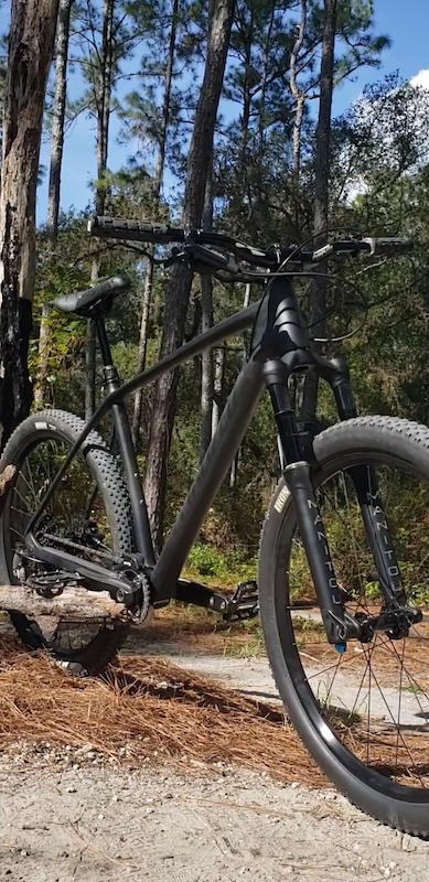 specialized hardtail frame