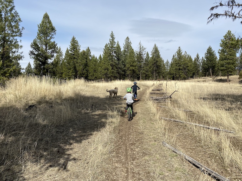 Elk Rim Trail Mountain Biking Trail Baynes Lake, BC