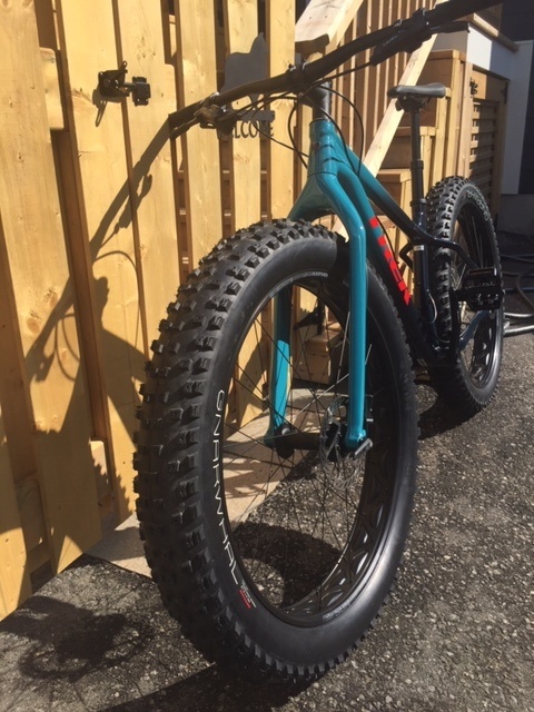 2021 TREK FARLEY For Sale