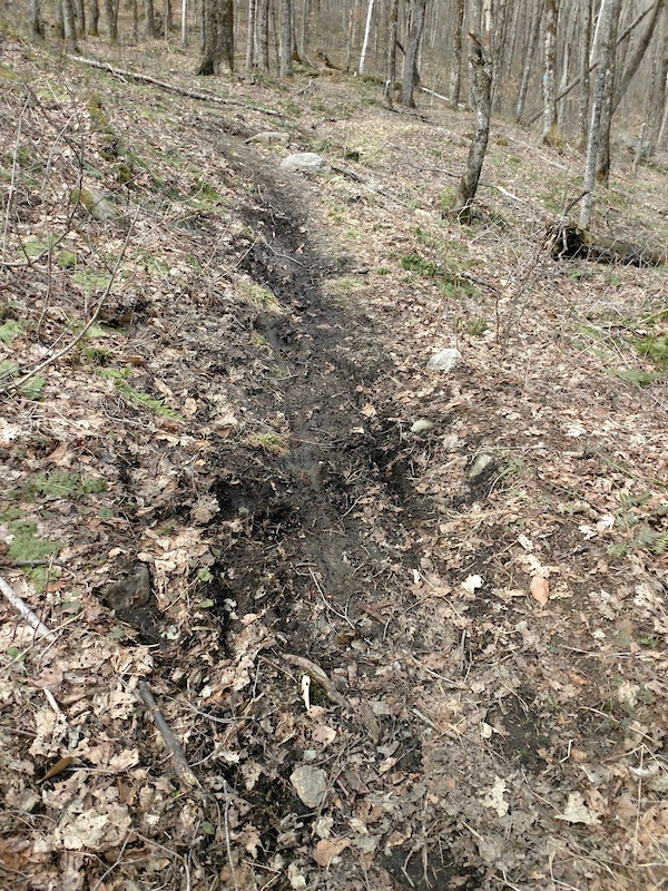 Oak Ridge Multi Trail - Goshen, Vermont | Trailforks