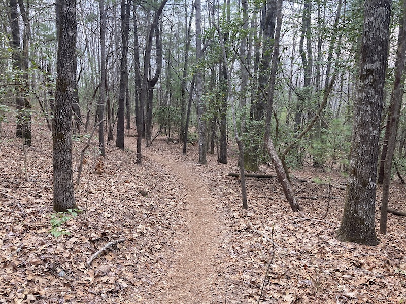 Cascade Loop Multi Trail - Cedar Mountain, North Carolina