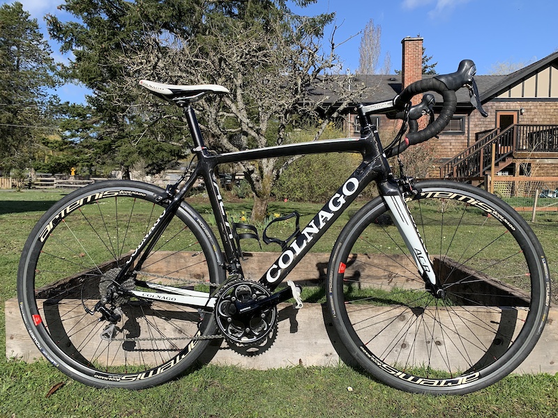 Carbon Frameset Colnago Primavera 105 COLNAGO コルナゴ PRIMAVERA