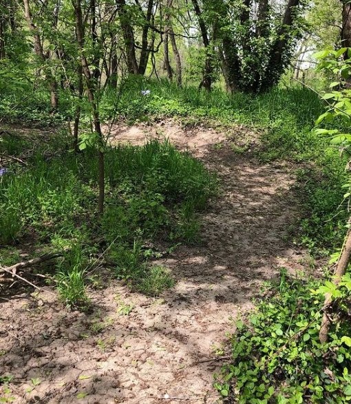 Nice Berms