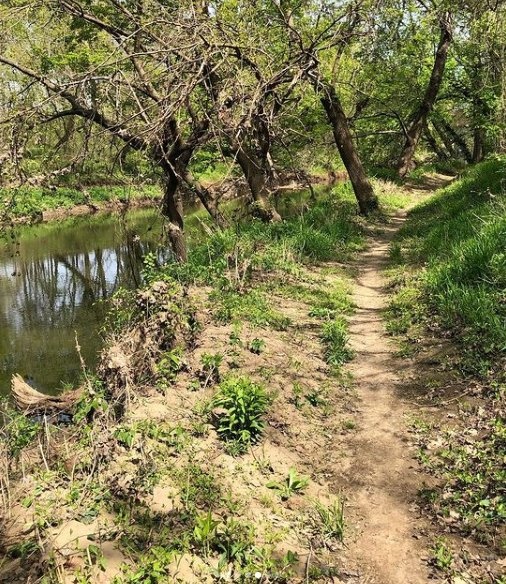 Along the river